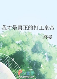 [综漫] 我才是真正的打工皇帝